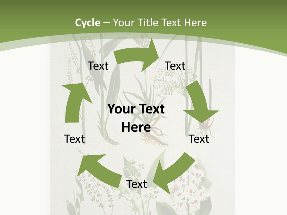 A Bunch Of Plants That Are On A White Surface PowerPoint Template