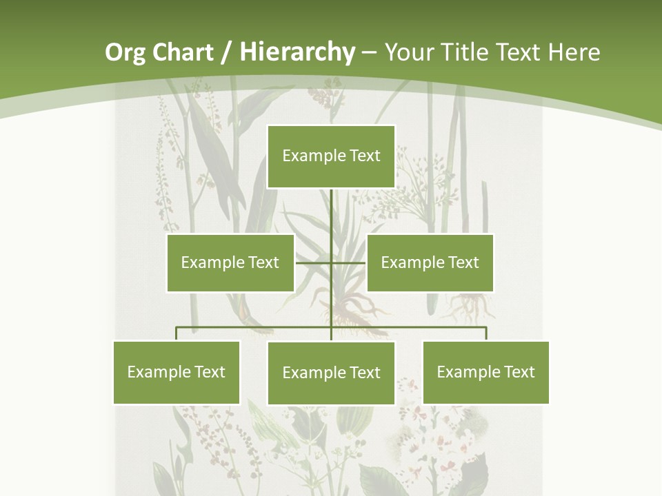 A Bunch Of Plants That Are On A White Surface PowerPoint Template