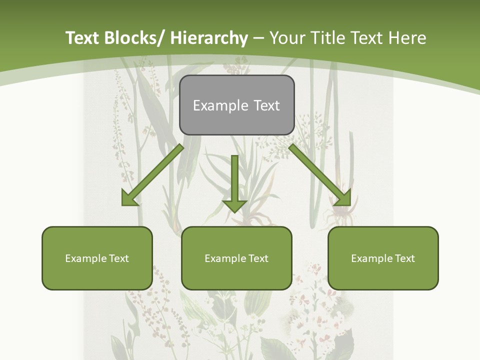 A Bunch Of Plants That Are On A White Surface PowerPoint Template