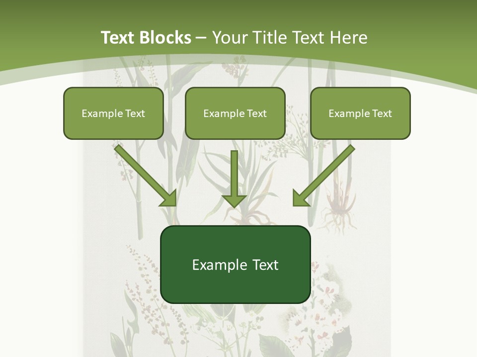 A Bunch Of Plants That Are On A White Surface PowerPoint Template