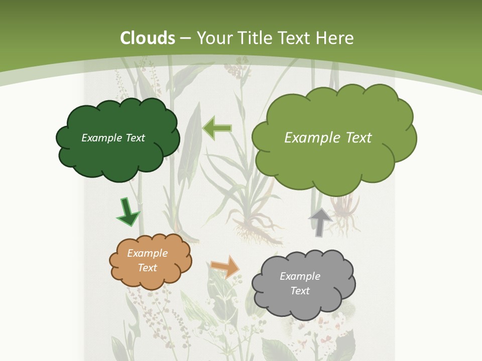 A Bunch Of Plants That Are On A White Surface PowerPoint Template