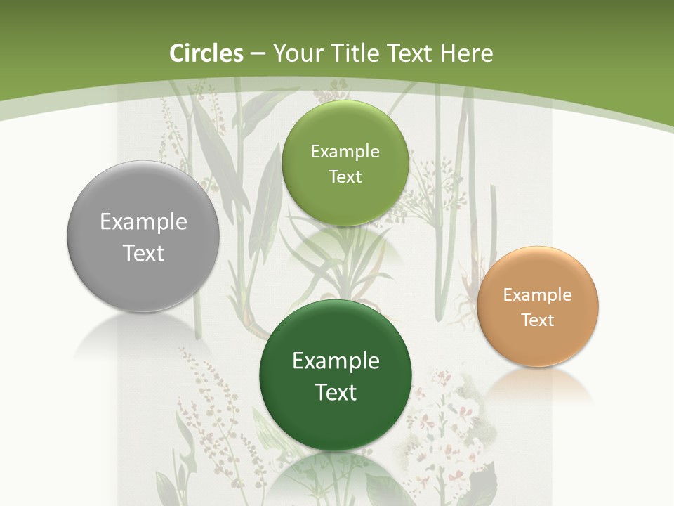 A Bunch Of Plants That Are On A White Surface PowerPoint Template