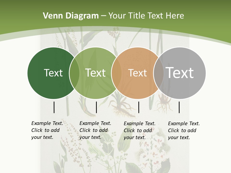 A Bunch Of Plants That Are On A White Surface PowerPoint Template