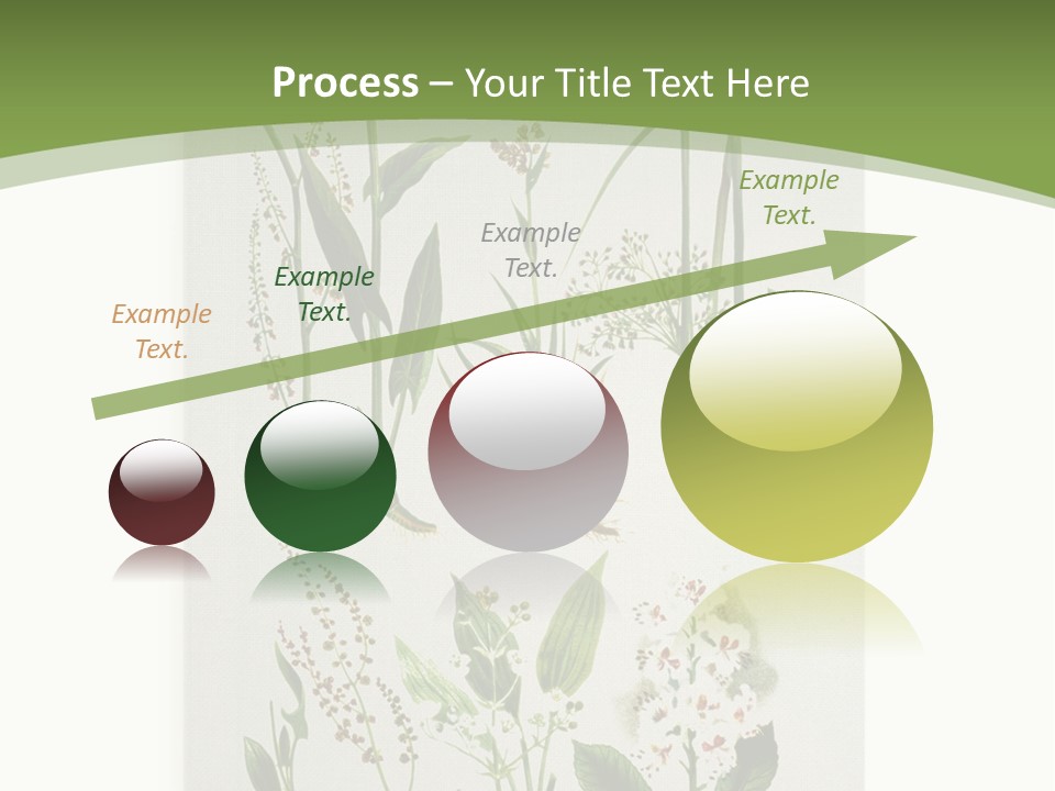 A Bunch Of Plants That Are On A White Surface PowerPoint Template