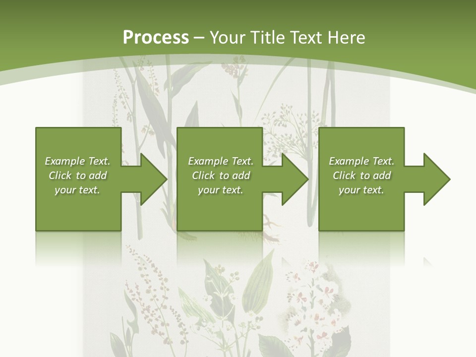 A Bunch Of Plants That Are On A White Surface PowerPoint Template