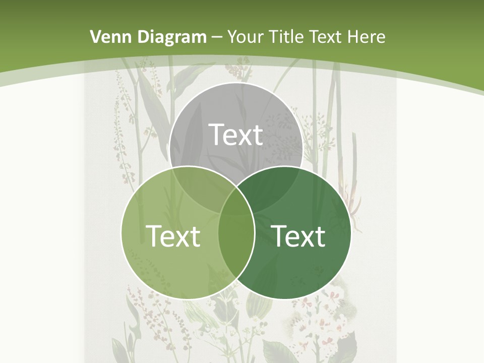 A Bunch Of Plants That Are On A White Surface PowerPoint Template