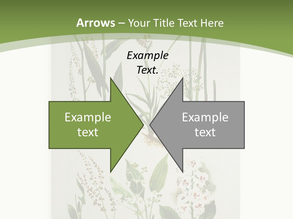 A Bunch Of Plants That Are On A White Surface PowerPoint Template