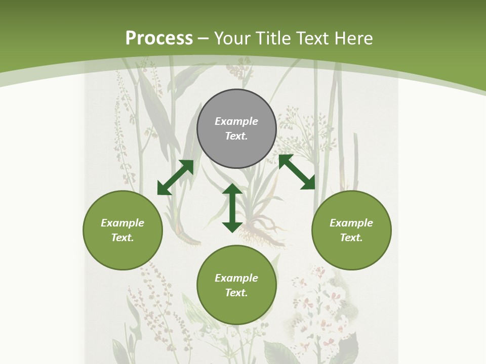 A Bunch Of Plants That Are On A White Surface PowerPoint Template