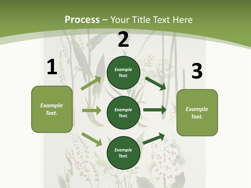 A Bunch Of Plants That Are On A White Surface PowerPoint Template