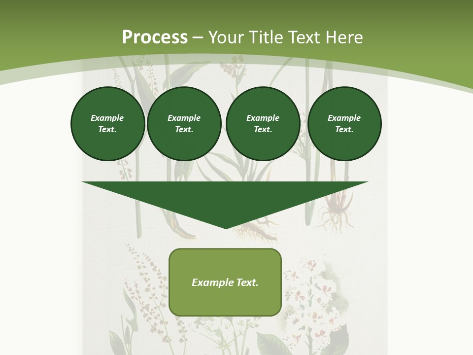 A Bunch Of Plants That Are On A White Surface PowerPoint Template