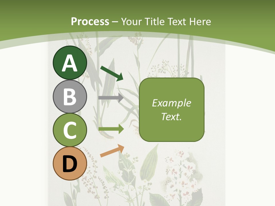 A Bunch Of Plants That Are On A White Surface PowerPoint Template