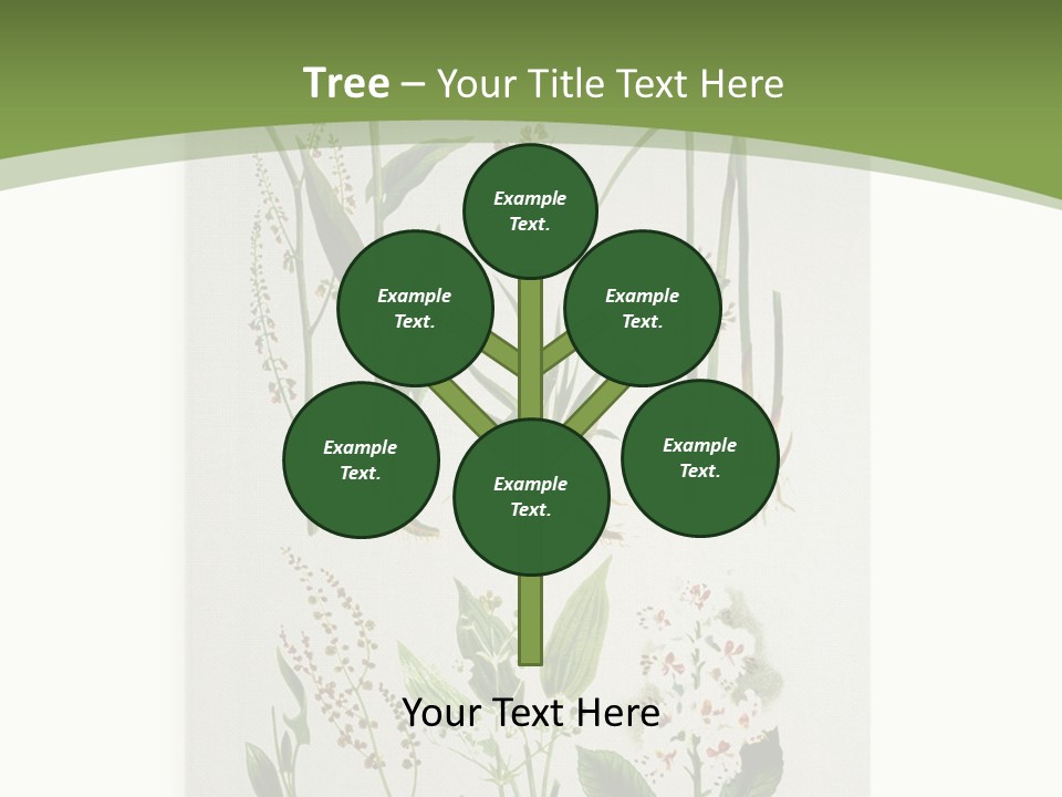 A Bunch Of Plants That Are On A White Surface PowerPoint Template