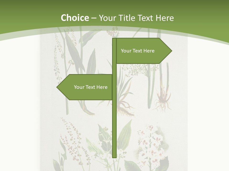 A Bunch Of Plants That Are On A White Surface PowerPoint Template