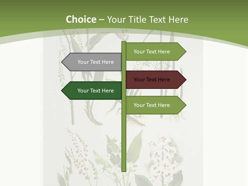 A Bunch Of Plants That Are On A White Surface PowerPoint Template