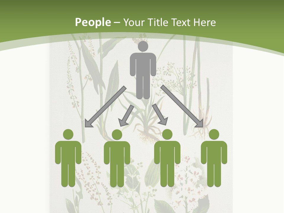 A Bunch Of Plants That Are On A White Surface PowerPoint Template