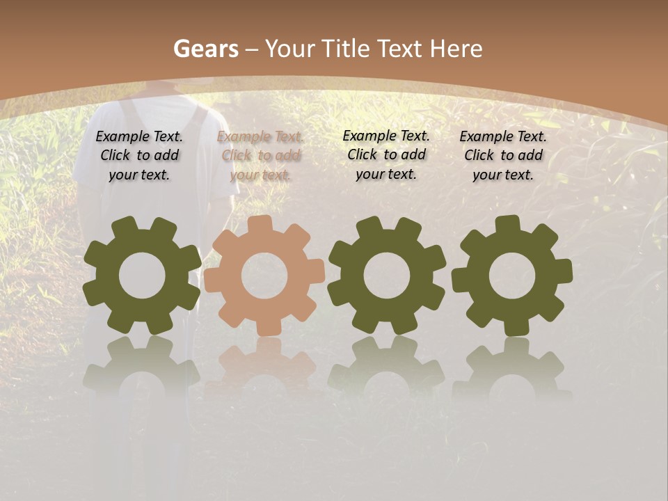 A Man Standing In A Field Of Corn Powerpoint Template PowerPoint Template