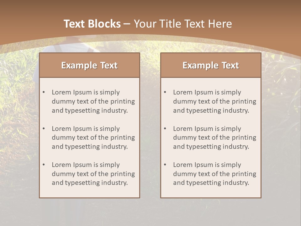A Man Standing In A Field Of Corn Powerpoint Template PowerPoint Template