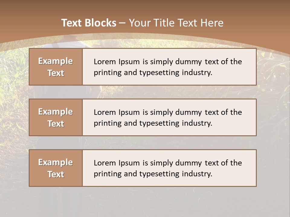A Man Standing In A Field Of Corn Powerpoint Template PowerPoint Template