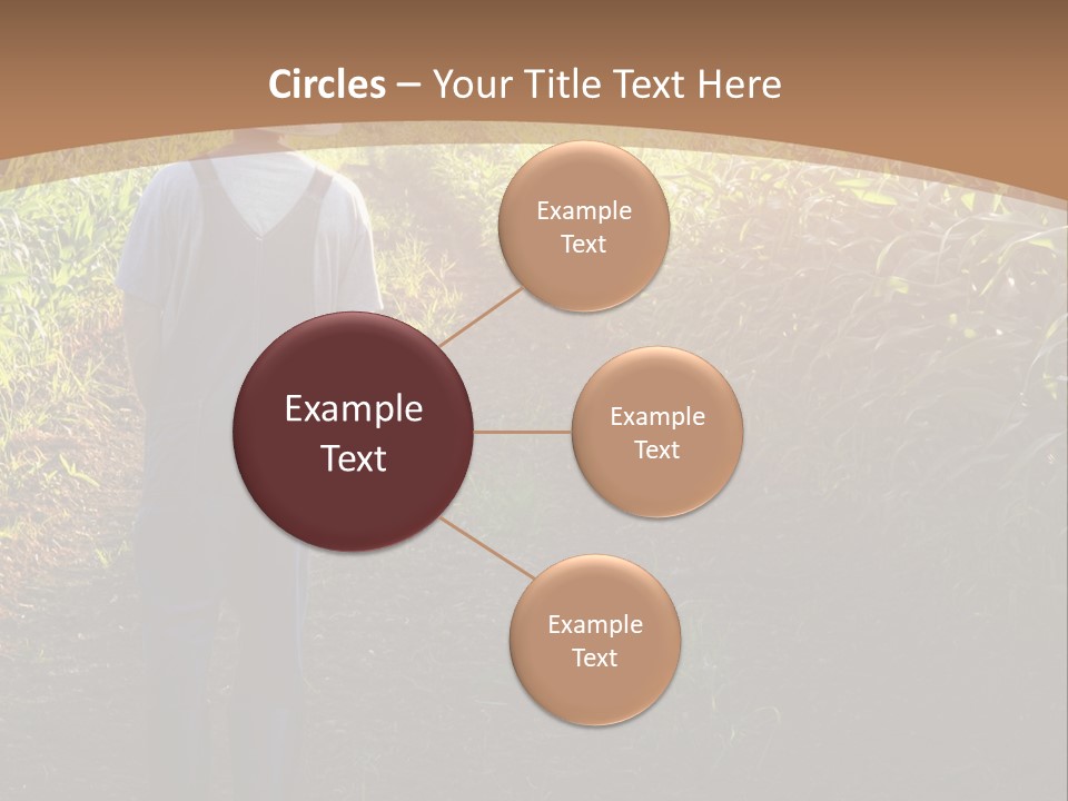 A Man Standing In A Field Of Corn Powerpoint Template PowerPoint Template