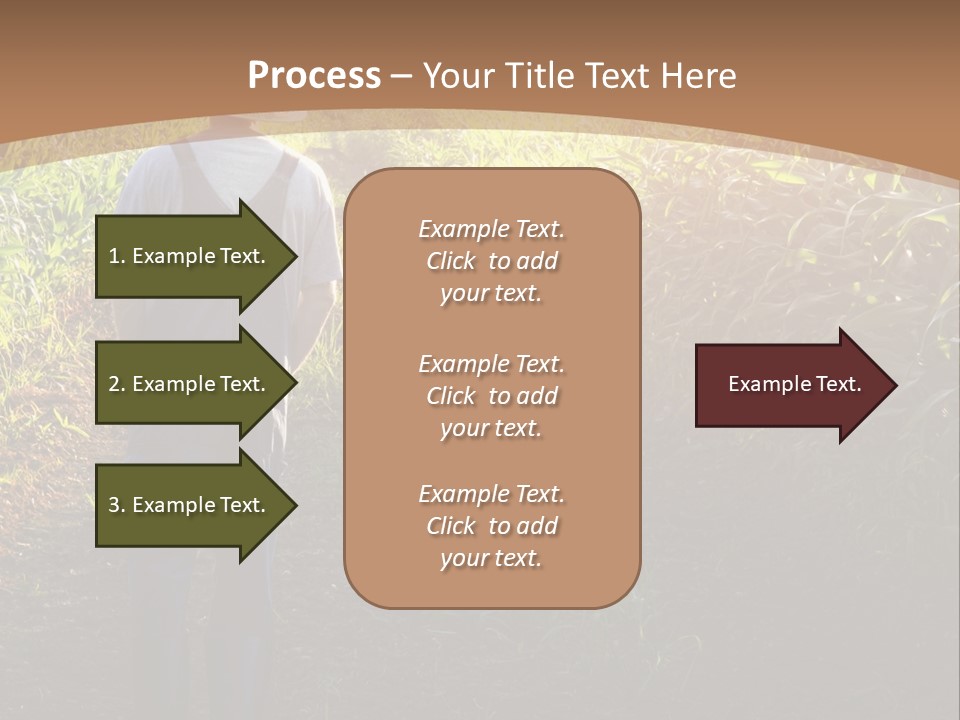 A Man Standing In A Field Of Corn Powerpoint Template PowerPoint Template