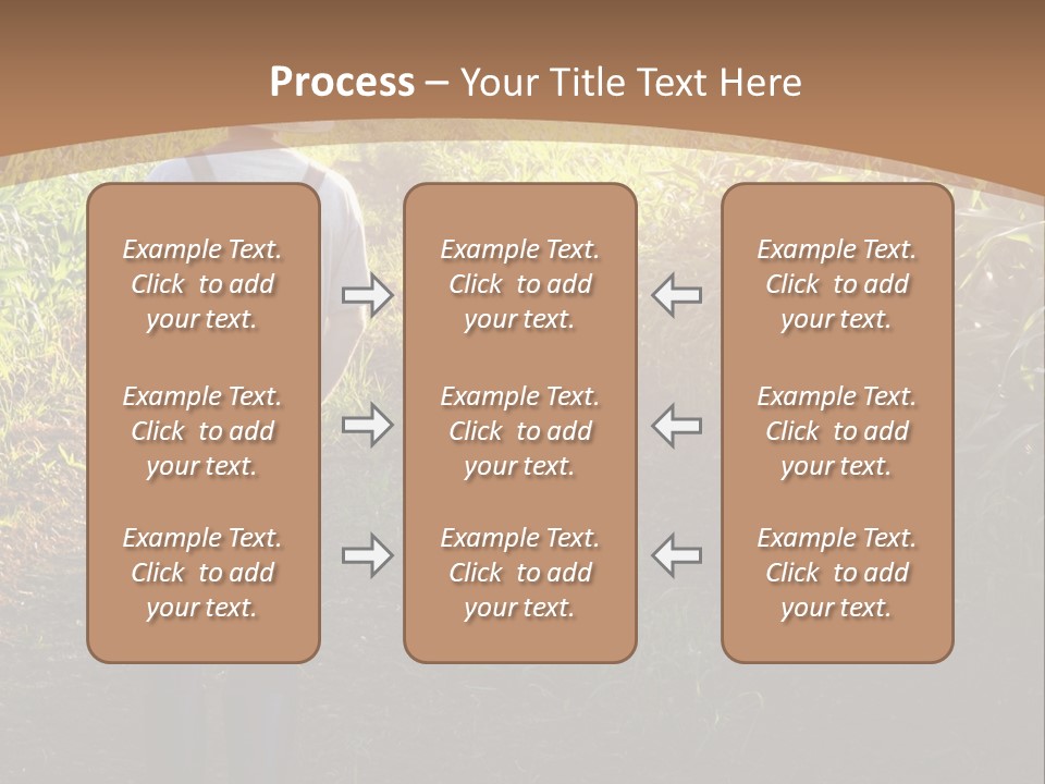 A Man Standing In A Field Of Corn Powerpoint Template PowerPoint Template