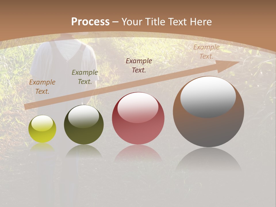 A Man Standing In A Field Of Corn Powerpoint Template PowerPoint Template