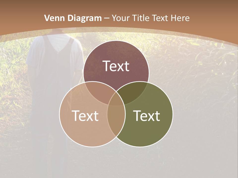 A Man Standing In A Field Of Corn Powerpoint Template PowerPoint Template