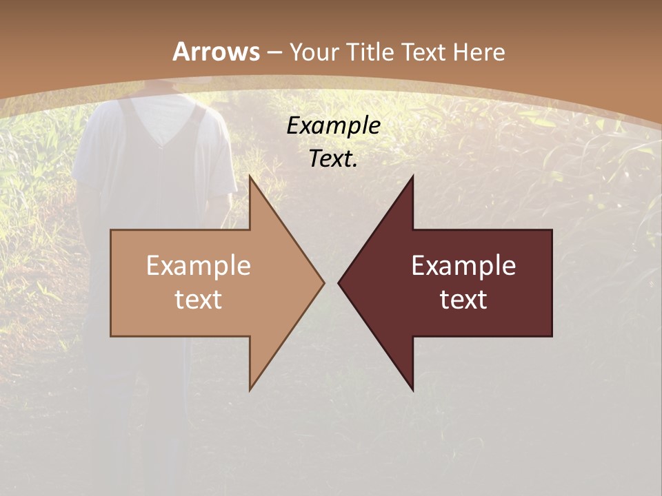 A Man Standing In A Field Of Corn Powerpoint Template PowerPoint Template