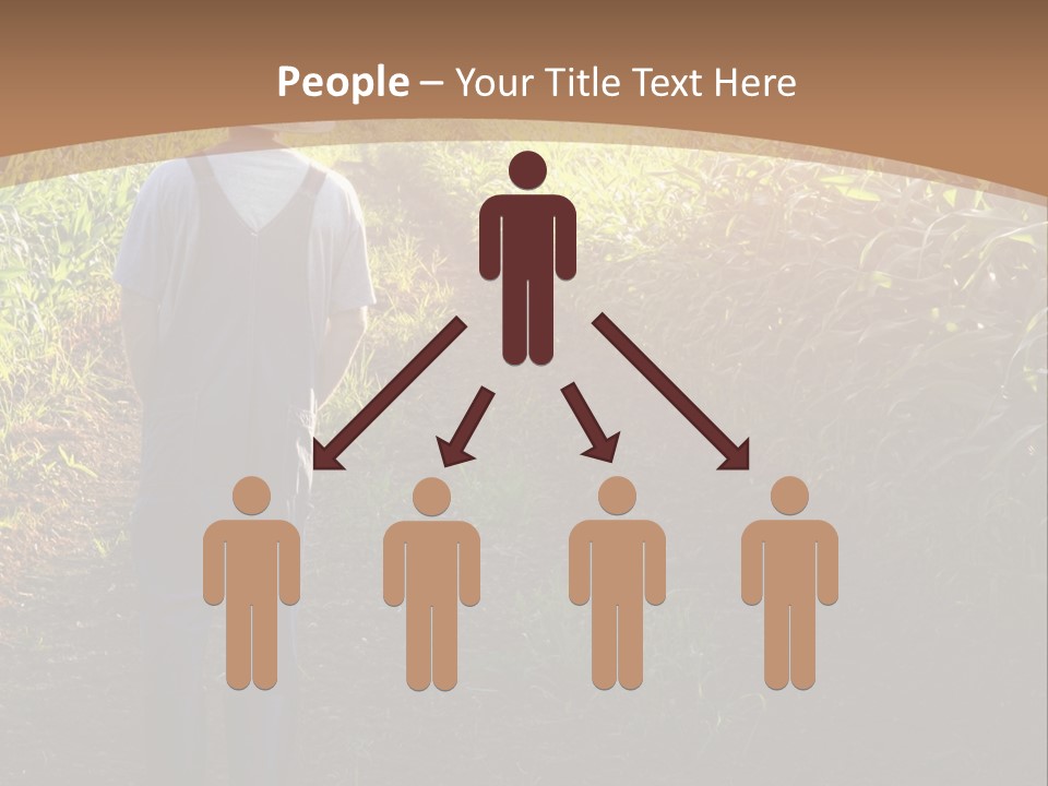 A Man Standing In A Field Of Corn Powerpoint Template PowerPoint Template