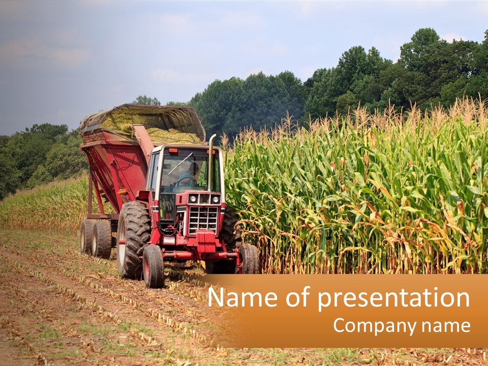 A Red Tractor Driving Down A Road Next To A Corn Field PowerPoint Template