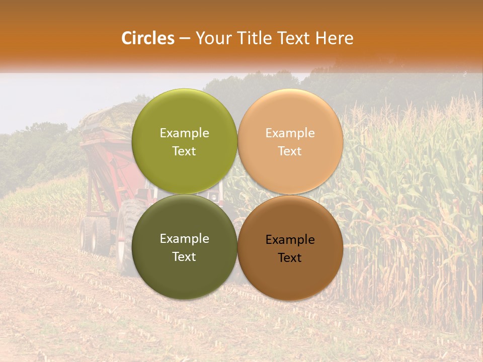 A Red Tractor Driving Down A Road Next To A Corn Field PowerPoint Template