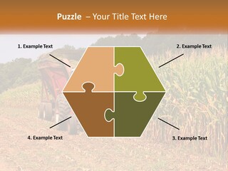 A Red Tractor Driving Down A Road Next To A Corn Field PowerPoint Template