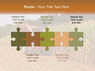 A Red Tractor Driving Down A Road Next To A Corn Field PowerPoint Template