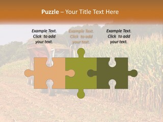 A Red Tractor Driving Down A Road Next To A Corn Field PowerPoint Template