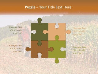 A Red Tractor Driving Down A Road Next To A Corn Field PowerPoint Template