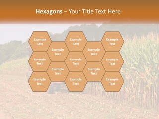 A Red Tractor Driving Down A Road Next To A Corn Field PowerPoint Template