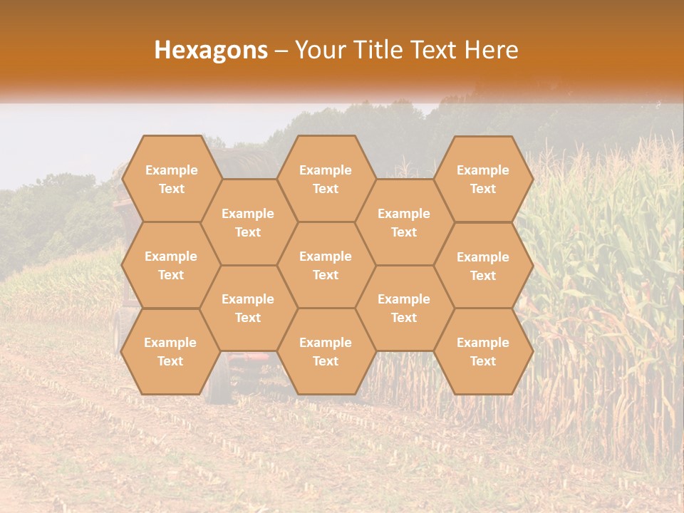 A Red Tractor Driving Down A Road Next To A Corn Field PowerPoint Template