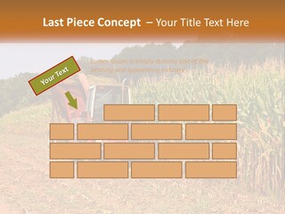 A Red Tractor Driving Down A Road Next To A Corn Field PowerPoint Template