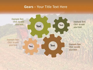 A Red Tractor Driving Down A Road Next To A Corn Field PowerPoint Template