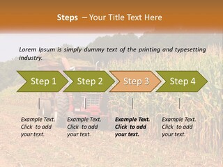 A Red Tractor Driving Down A Road Next To A Corn Field PowerPoint Template
