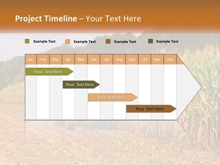 A Red Tractor Driving Down A Road Next To A Corn Field PowerPoint Template