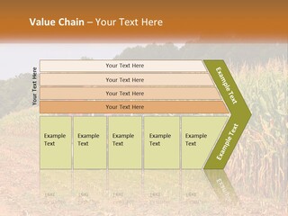 A Red Tractor Driving Down A Road Next To A Corn Field PowerPoint Template