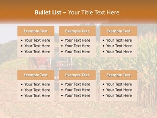 A Red Tractor Driving Down A Road Next To A Corn Field PowerPoint Template