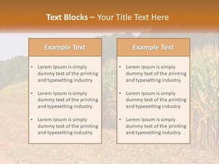 A Red Tractor Driving Down A Road Next To A Corn Field PowerPoint Template