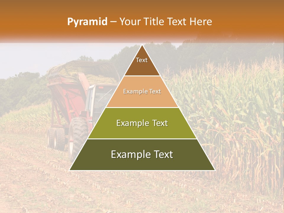 A Red Tractor Driving Down A Road Next To A Corn Field PowerPoint Template