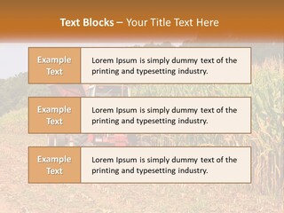 A Red Tractor Driving Down A Road Next To A Corn Field PowerPoint Template
