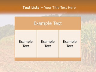 A Red Tractor Driving Down A Road Next To A Corn Field PowerPoint Template