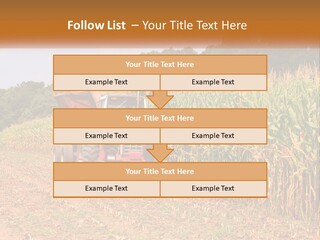 A Red Tractor Driving Down A Road Next To A Corn Field PowerPoint Template