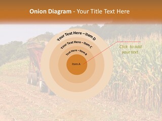 A Red Tractor Driving Down A Road Next To A Corn Field PowerPoint Template