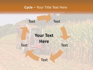 A Red Tractor Driving Down A Road Next To A Corn Field PowerPoint Template